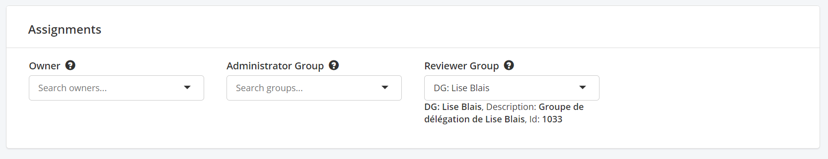 The Assignments panel of an asset, with fields for owner and administrator group left unset and the reviewer group set to a delegation group, whose description and identifier are shown beneath.