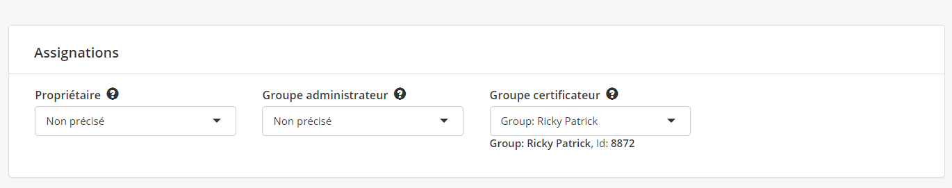 Le panneau Assignations d’un actif, le propriétaire et le groupe administrateur laissés non précisés et le groupe certificateur réglé sur un groupe nommé, dont l’identifiant est affiché dessous.