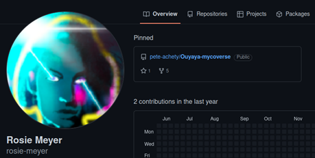 Rosie Meyer’s GitHub profile, with no repositories of her own and activity limited to issues raised on Pete Achety’s repository.