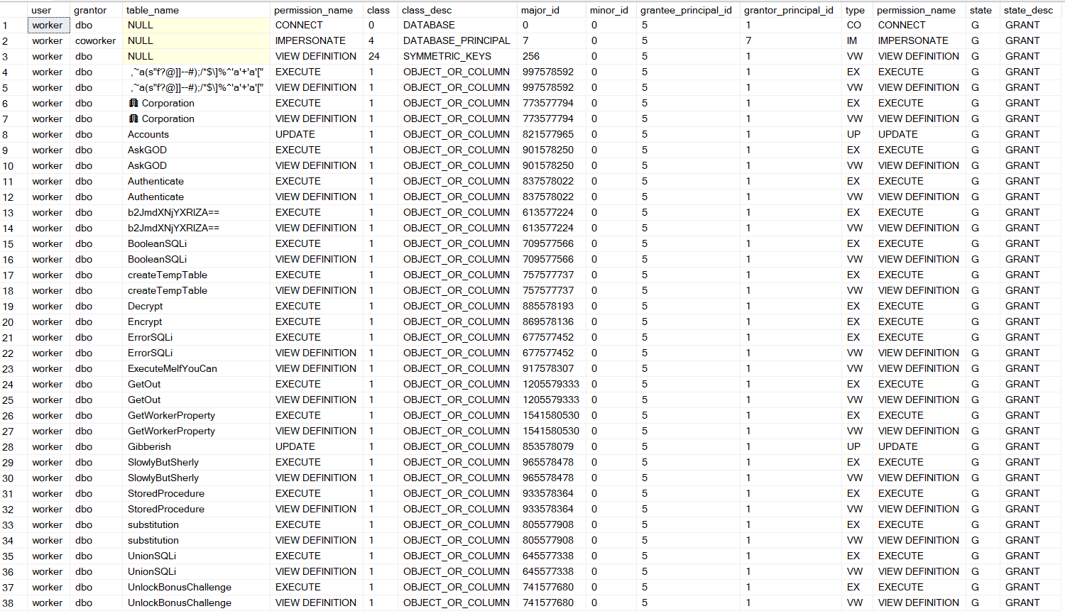 The permissions query output, listing the rights granted to the connected user.