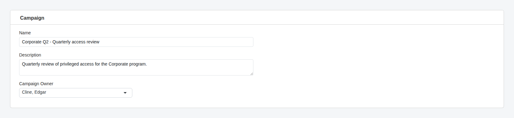 Access review campaign details